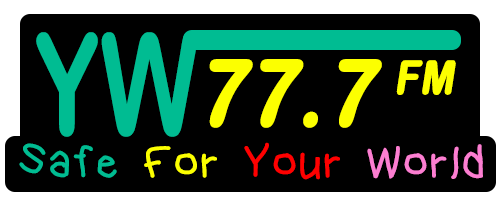 7x3 bumper sticker